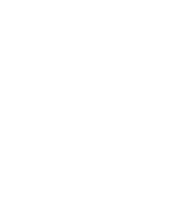 Seeklancer freelancing platform